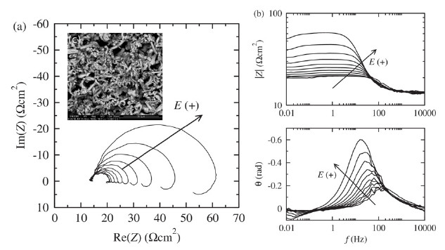 Nickel composite